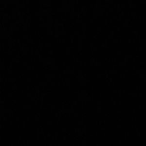 Meet your Posher, Tenika